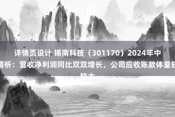 详情页设计 锡南科技（301170）2024年中报简析：营收净利润同比双双增长，公司应收账款体量较大